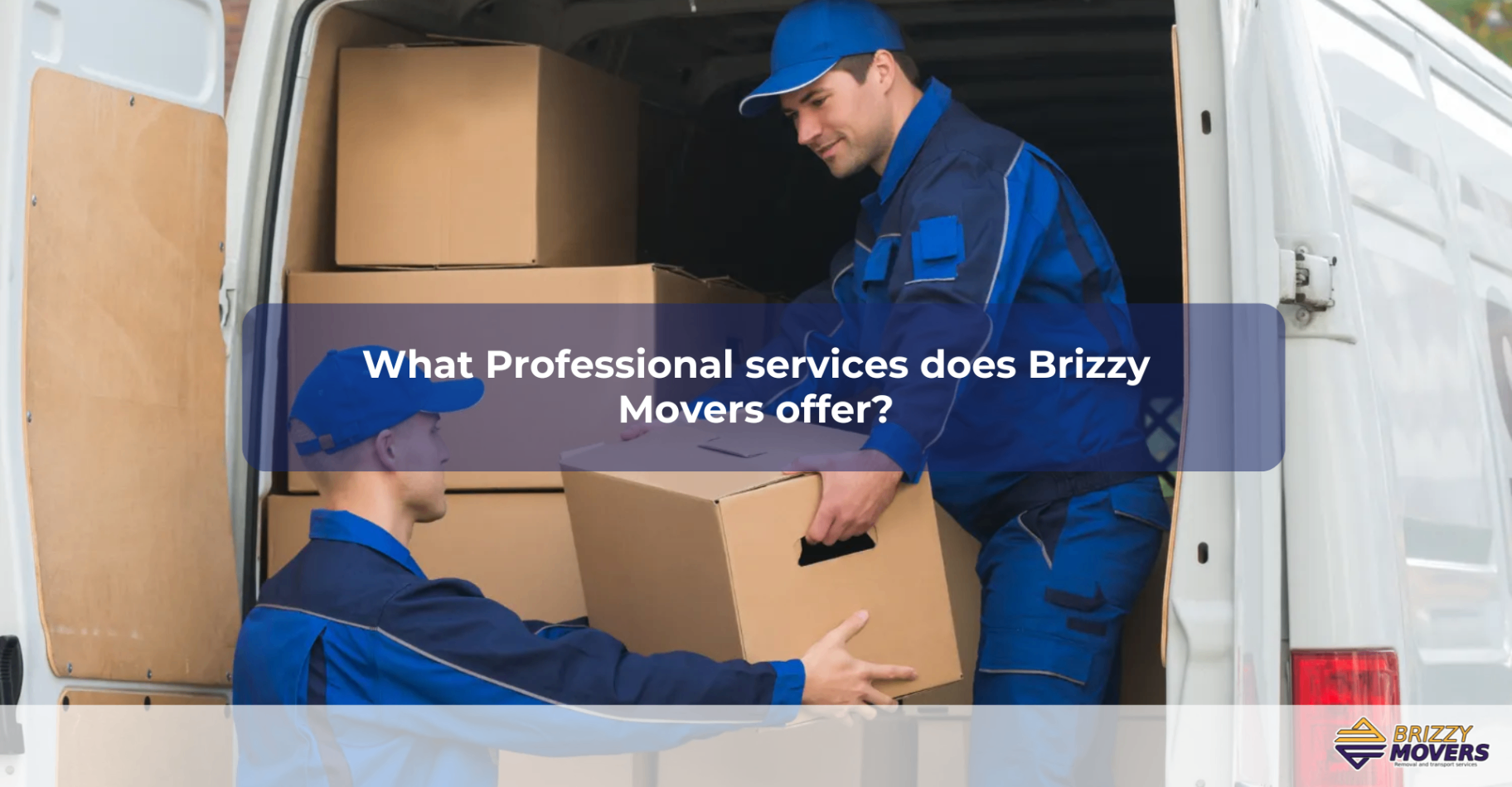 What Professional services does Brizzy Movers offer?