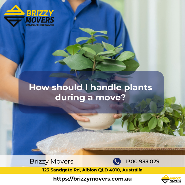 How-should-I-handle-plants-during-a-move?